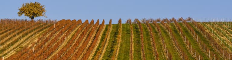 Stegersbach