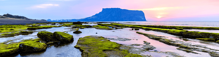 4 noči. Južna Koreja