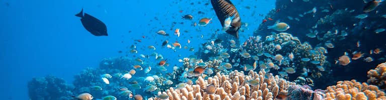 Bangka Island, North Sulawesi, Indonesia