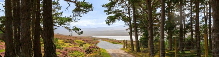 Grantown on Spey, Verenigd Koninkrijk