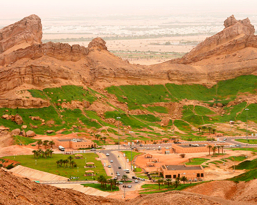 Al Ain, Unió dels Emirats Àrabs