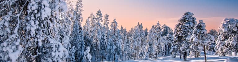 Hirvas, Lapland