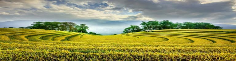 Mu Cang Chai