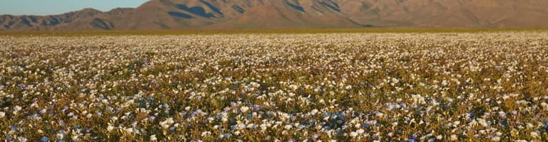 Vallenar, Chile
