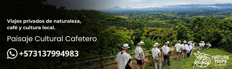 Image - Travelers exploring Colombia’s Coffee Cultural Landscape among mountains, wax palms and local experiences.