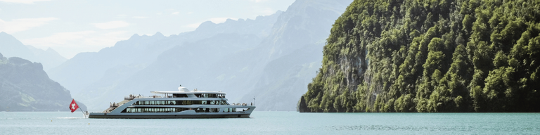 Cruises