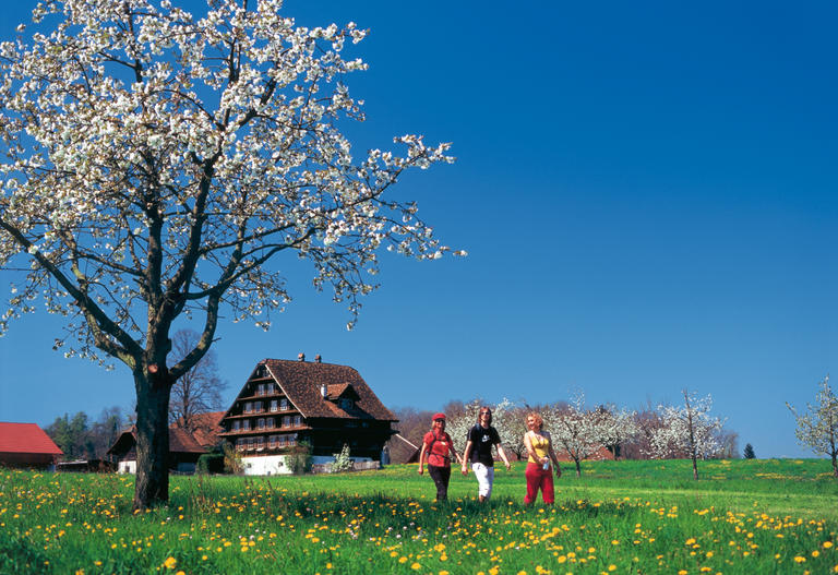 Image - Spring