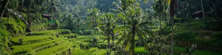 Indonesia