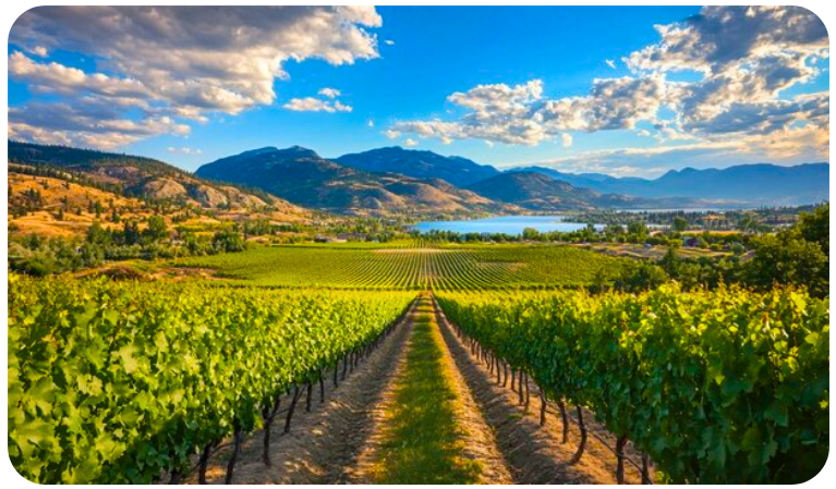 Imagen - Osoyoos