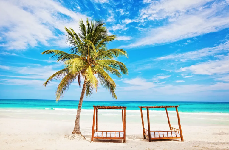 Imagen - Explora las Playas Mexicanas 