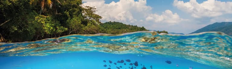Immagine - OFFERTE MARE 2026