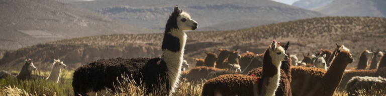 San Pedro de Atacama