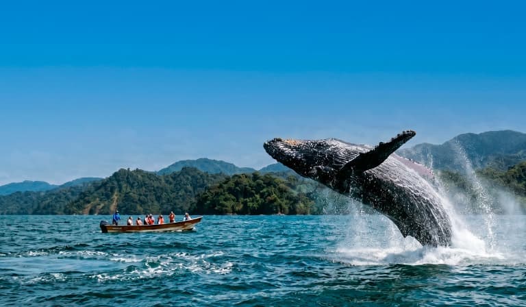 Imagen - Naturaleza