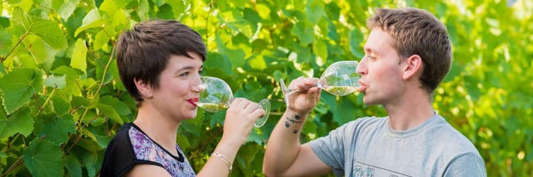 Wine tourism & Gastronomy