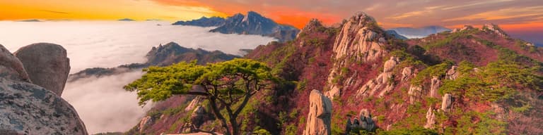 Coreia do Sul