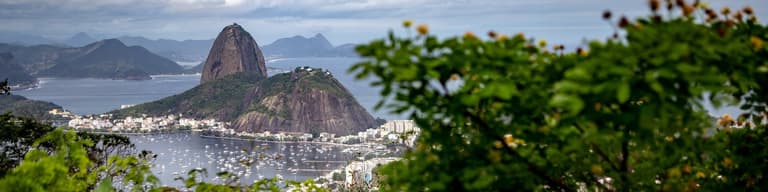 Central & South America