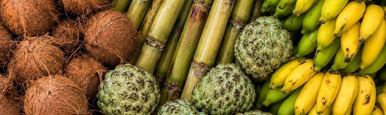 Образ - Tropical Fruits