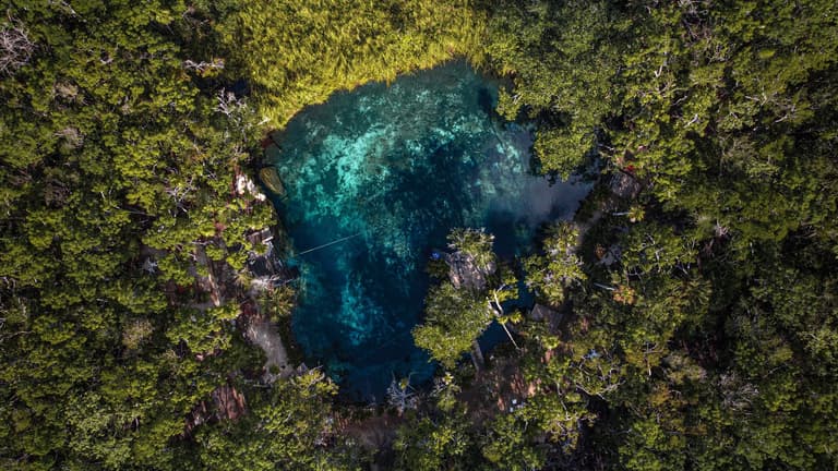 Imagen - Ready to start selling Mexico?