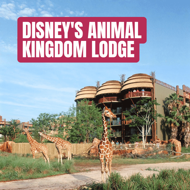 Image - Animal Kingdom Lodge