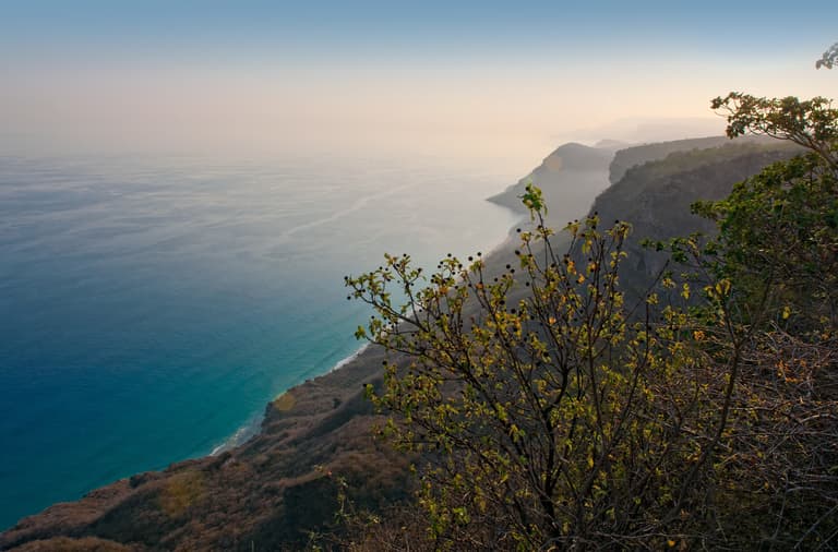 صورة - موسم الصرب