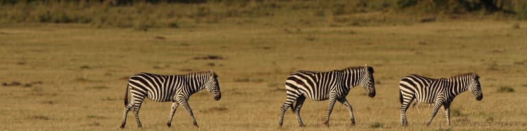 África