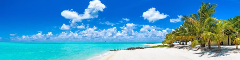 Summer break
