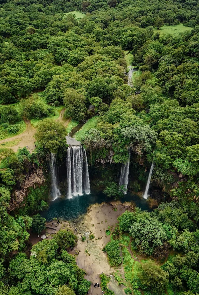 Image - Khareef Dhofar