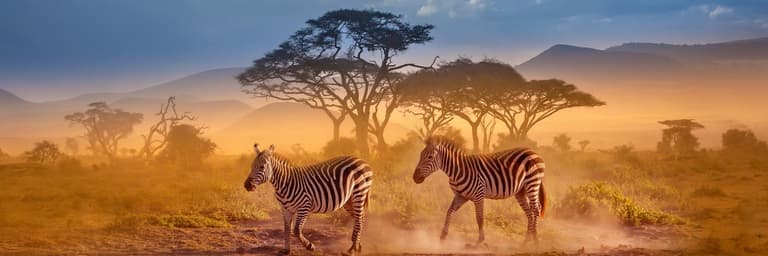 Kenya