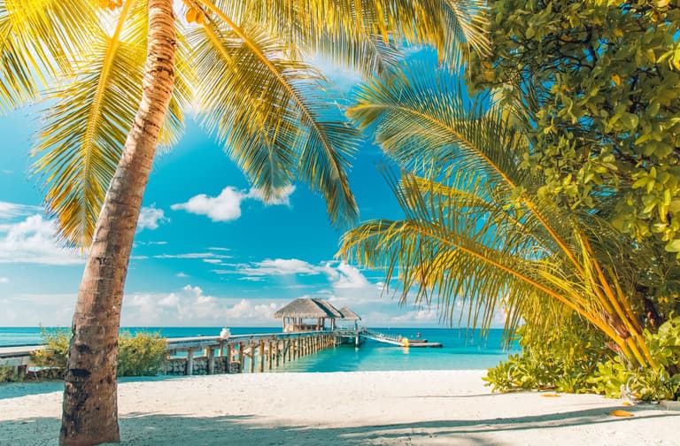 Imagem - Descubra o Caribe: praias paradisíacas, resorts all inclusive e férias inesquecíveis