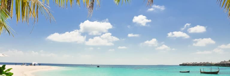 Caribe