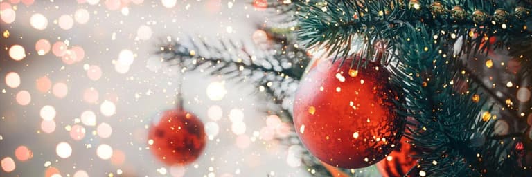 Natale e Capodanno