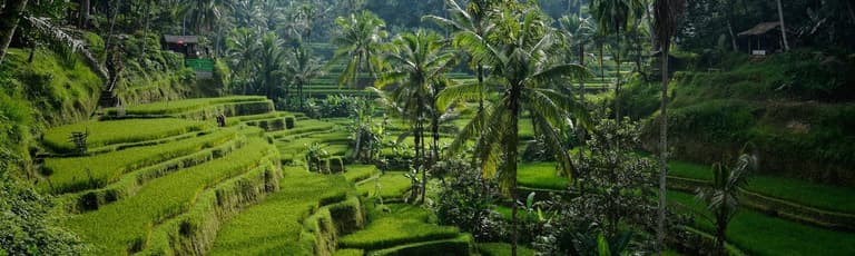 Image - Indonesia