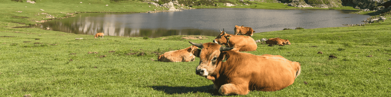 Asturias