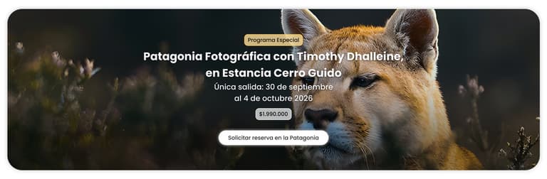 Imagen - Programa Especial de Travel Security: Patagonia Fotográfica con Timothy Dhalleine, en Estancia Cerro Guido, del 30 de septiembre al 4 de octubre 2026