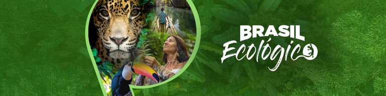 ECOLÓGICO