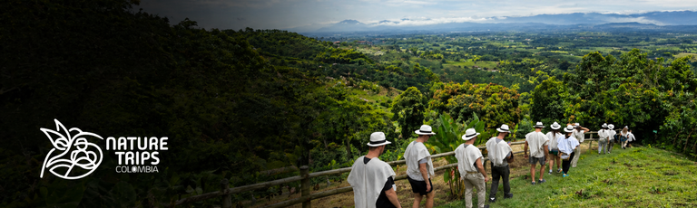 Image - Travelers exploring Colombia’s Coffee Cultural Landscape among mountains, wax palms and local experiences.