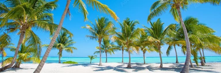 Aruba - Cupos confirmados