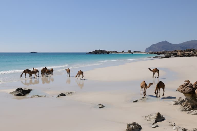 صورة - موسم الشتاء