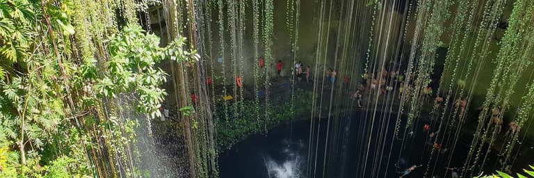 Aquatic Experiences