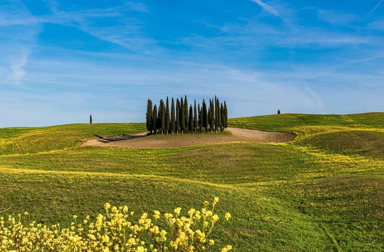 Beeld - Toscane