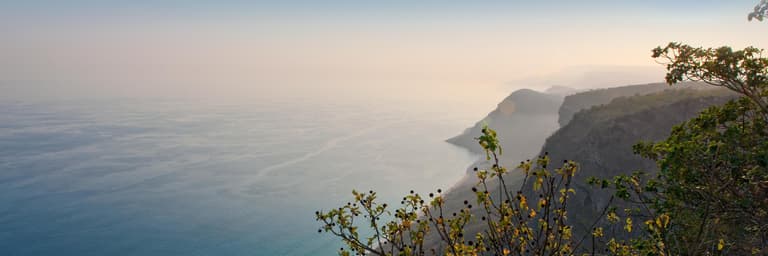 Image - Khareef Special Packages