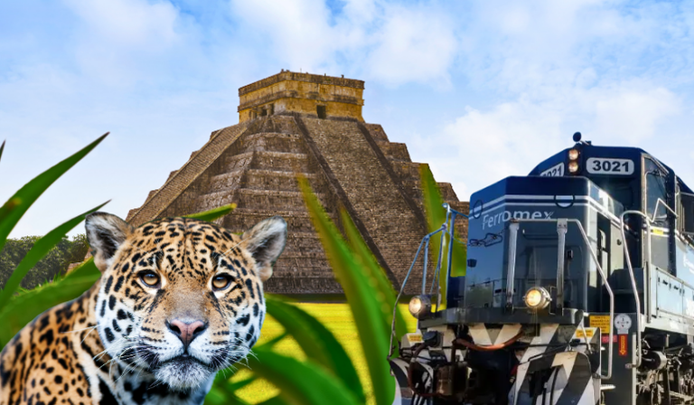 Imagen - Viaja por México