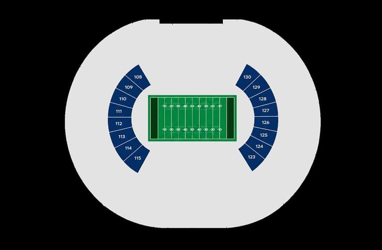 Imagen - 100 Endzone: Adrenalina a ras de campo