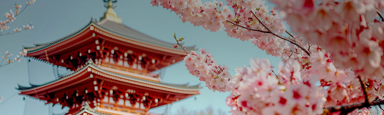 Imagen - Viajes a Japón a medida desde Argentina