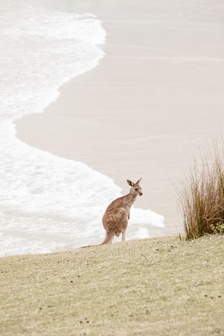 Image - Australia