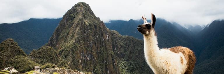 Perù