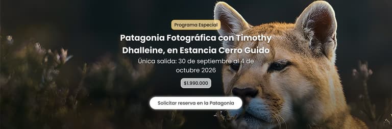Imagen - Programa Especial de Travel Security: Patagonia Fotográfica con Timothy Dhalleine, en Estancia Cerro Guido, del 30 de septiembre al 4 de octubre 2026
