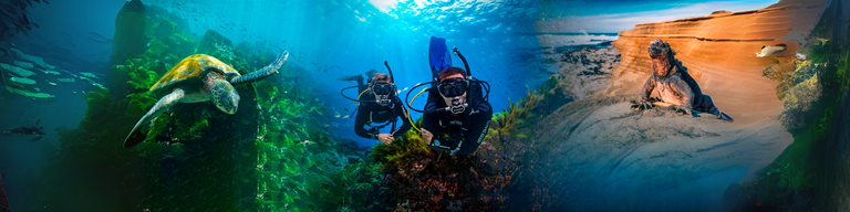 Galapagos Islands