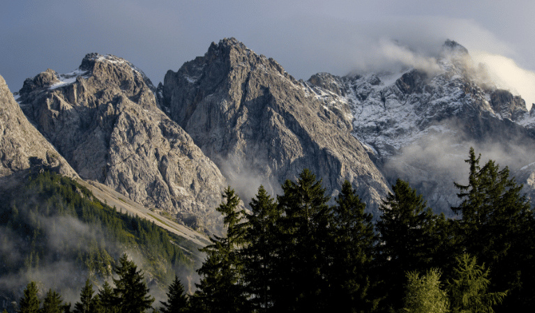 Image - Nature