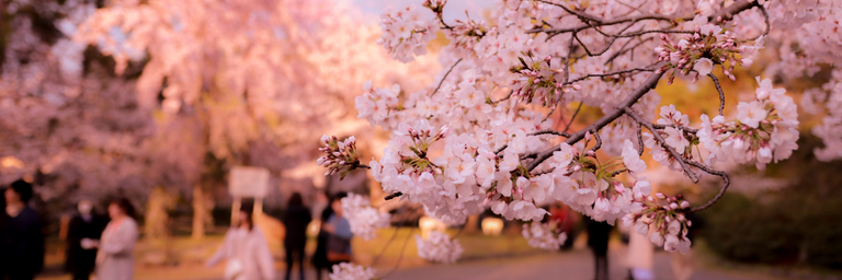 Beeld - Verre bestemmingen